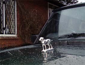 Labrador, Large Car Bonnet Mascot Hood Ornament