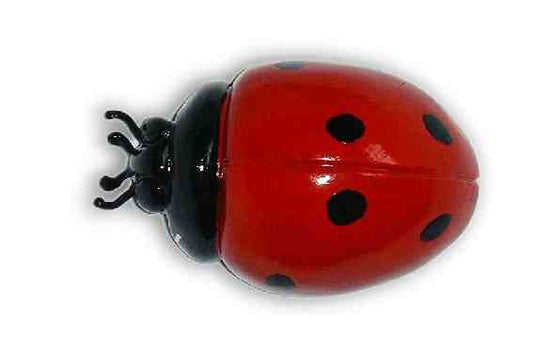 Ladybird Car Bonnet Mascot Hood Ornament