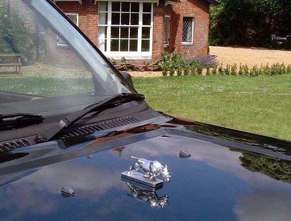 Rhinoceros, black charging Car Bonnet Mascot Hood Ornament