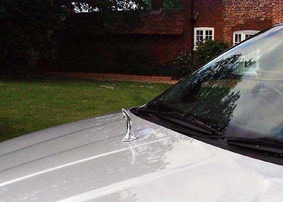 Salmon, leaping, new model Car Bonnet Mascot Hood Ornament