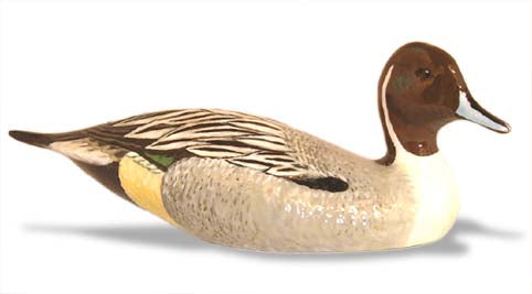 Duck, Pintail, swimming Car Bonnet Mascot Hood Ornament