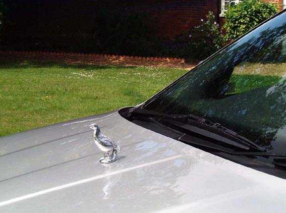 Partridge, standing Car Bonnet Mascot Hood Ornament