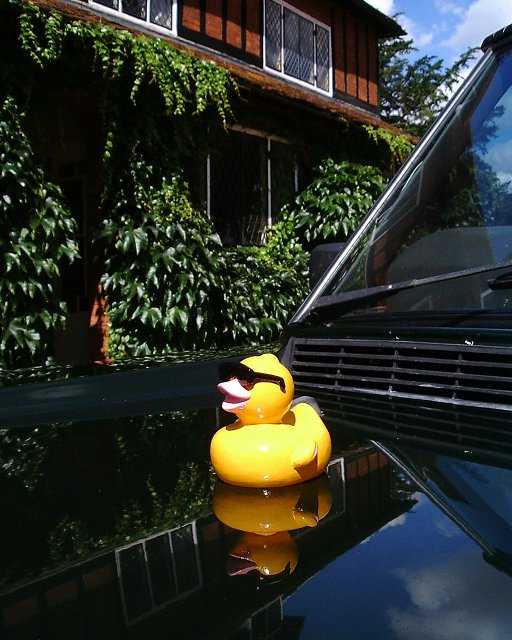 Rubber Duck, enamelled Car Bonnet Mascot Hood Ornament