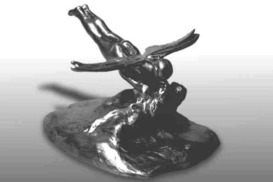 Schneider Trophy replica 'Kissing the Waves'