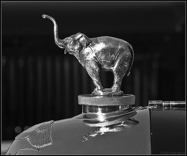 Elephant. Circus Elephant, on all fours Car Bonnet Mascot Hood Ornament