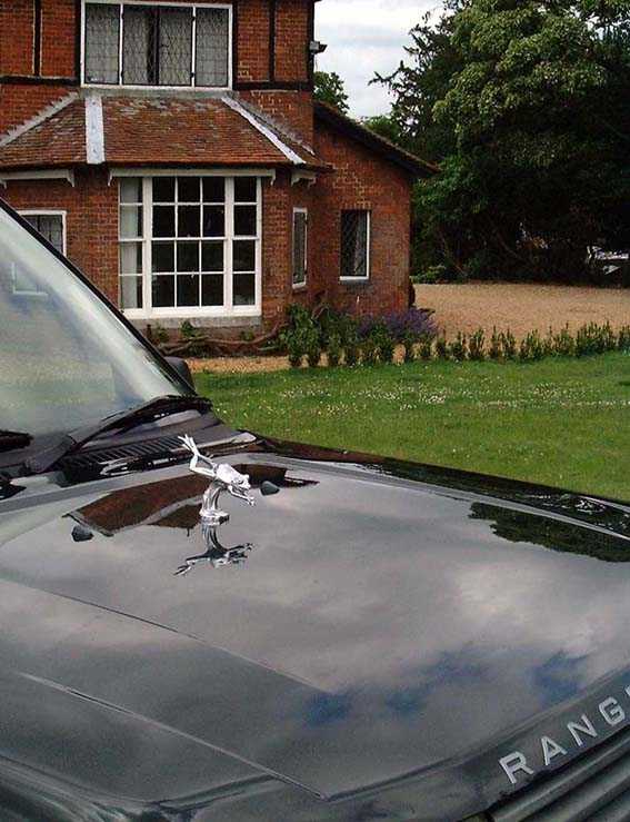 Frog. Leaping Frog Car Bonnet Mascot Hood Ornament