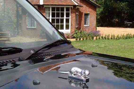 Otter Car Bonnet Mascot Hood Ornament