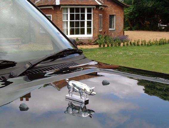 Pig, Sow Car Bonnet Mascot Hood Ornament