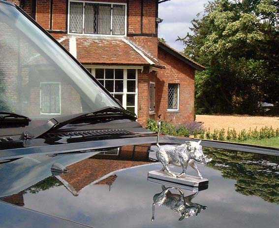 Warthog Car Bonnet Mascot Hood Ornament