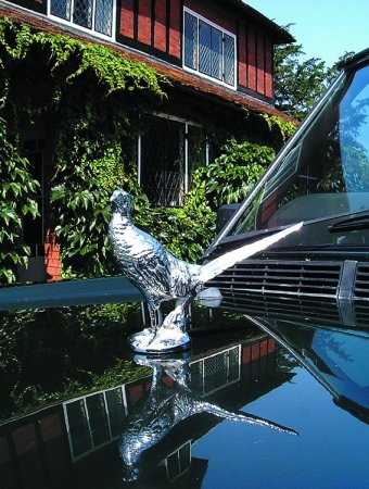 Pheasant, standing Car Bonnet Mascot Hood Ornament