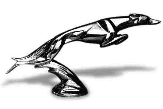 Lincoln Greyhound