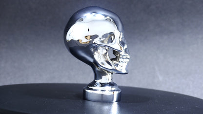 Skull Car Bonnet Mascot Hood Ornament