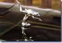 Frog. Leaping Frog Car Bonnet Mascot Hood Ornament